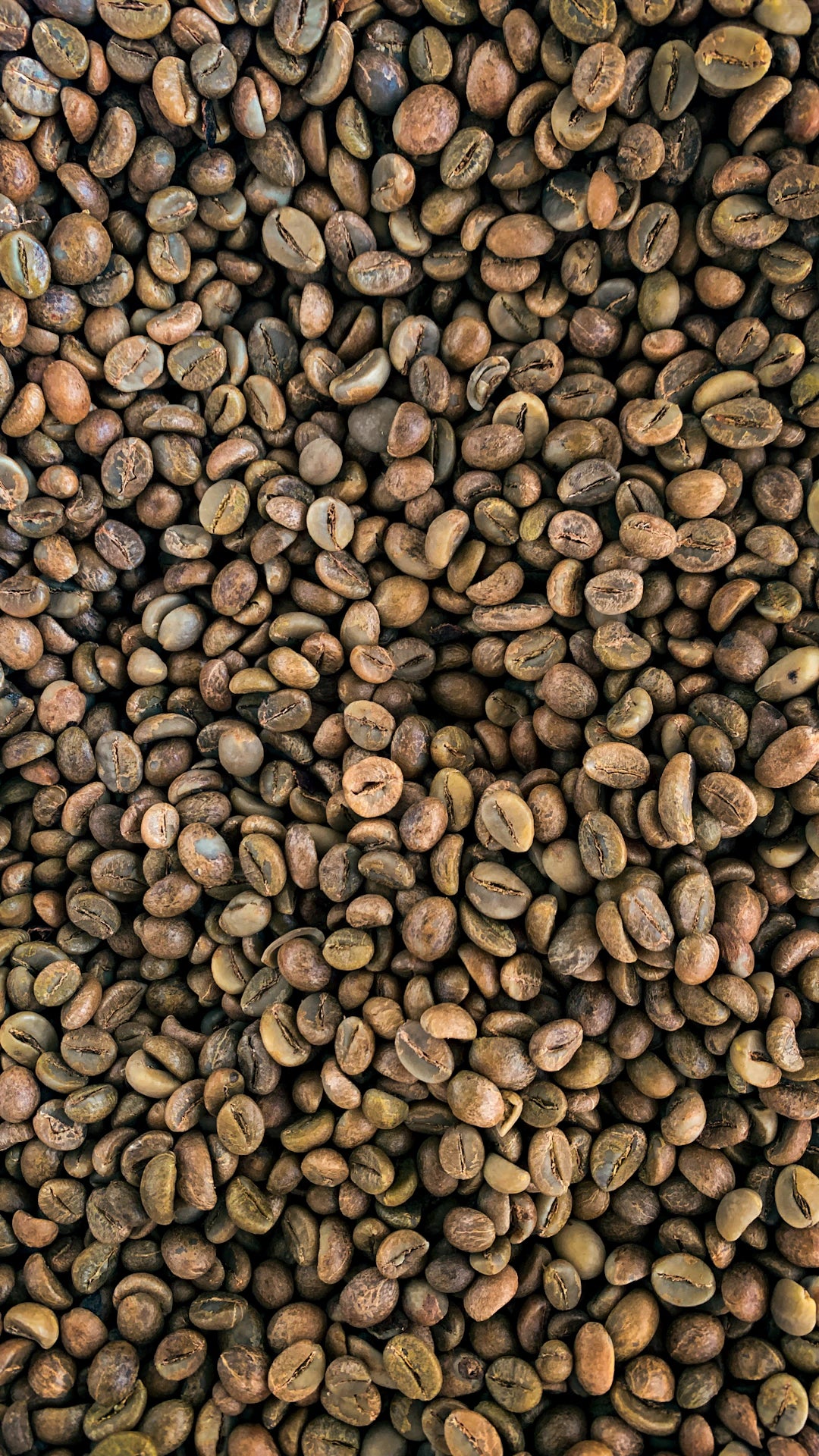 ケニア産コーヒーのユニークな酸味を知ろう！